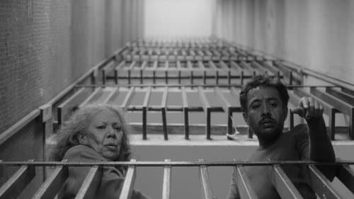 We Shall Not Be Moved